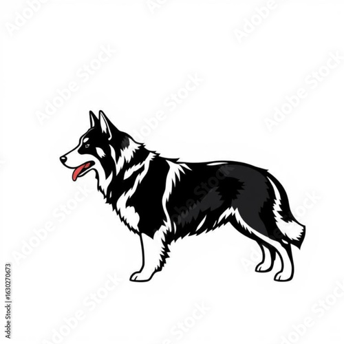 Norwegian Lundehund Animal Portrait