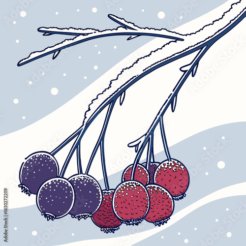 winter landscape with berries hygge vibes, winter escape, winter cabin, frosty days, ski season, snow trails, knitted wear, festive lights, snow dust, cozy moments, snowy mountain, polar vibes, chilly