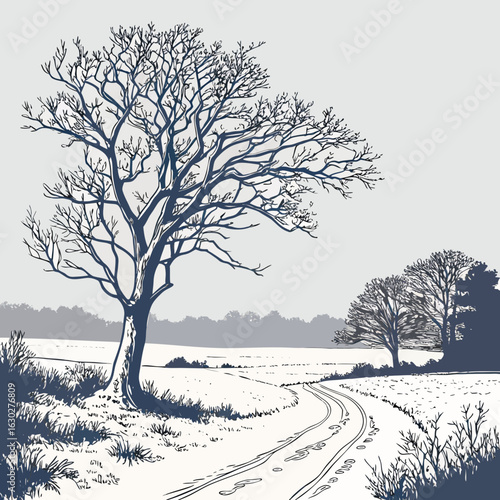 winter landscape with trees winter vibes, snowy day, cozy winter, winter wonderland, frosty mornings, snowflakes, winter style, holiday season, cold weather, snow aesthetic, hot chocolate, winter magi