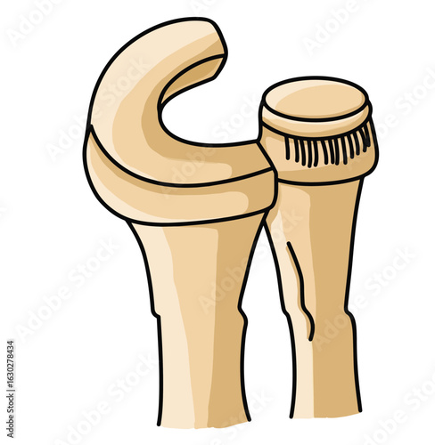 Science of hand drawn vector bone joint ball and socket clipart.