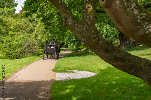 Horse-drawn carriage with rider on a Danish gravel road 2025