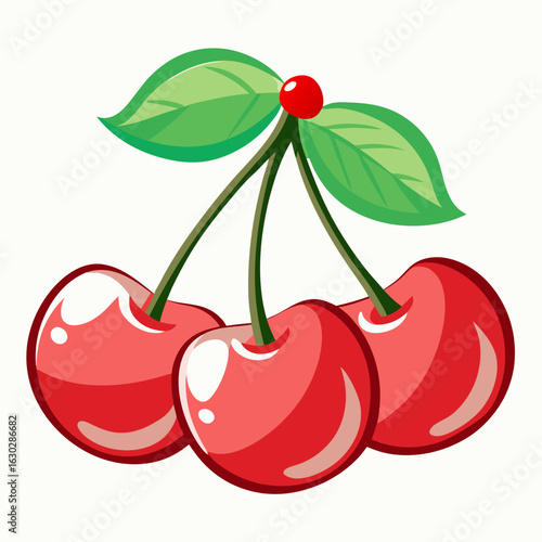 cherry vector illustration