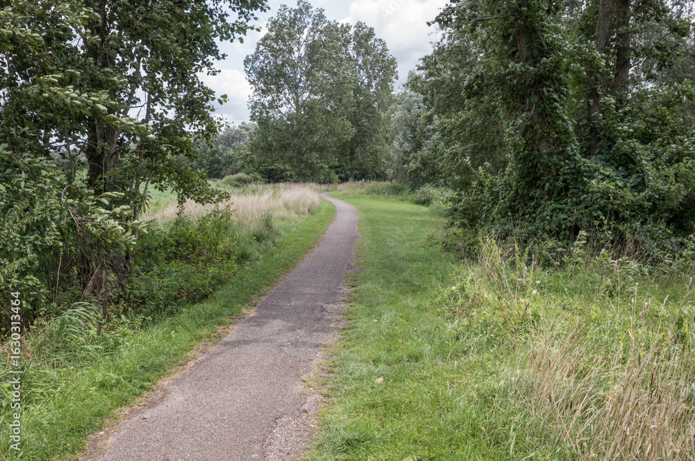 Fototapeta premium Winding paved path through green meadow and forest