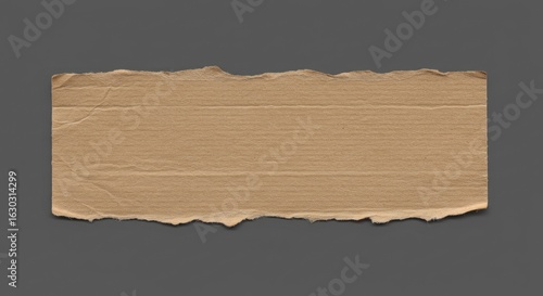 A torn piece of cardboard against a neutral backdrop