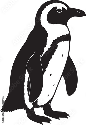 African penguin silhouette vector illustration for wildlife art