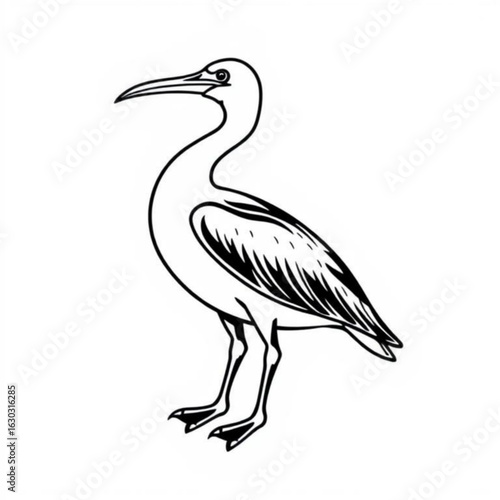 Pelagornis Black Animal Icon