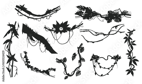 Tropical forest with hanging vines. Branches and leaves of jungle plants black silhouette. Climbing creepers. Botanical ivy greenery. Rainforest flowers. Vector natural elements set