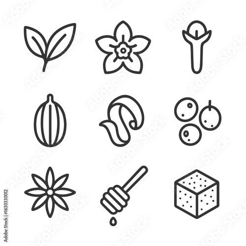 Tea Ingredient Icons. Outline icon set of tea ingredients: tea leaves, tea flower, clove, cardamom pod, orange peel, dried berries