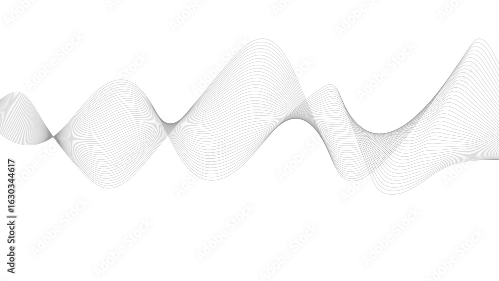 Fototapeta premium Abstract black lines wave curve motion on white background. Abstract gray line with white background.