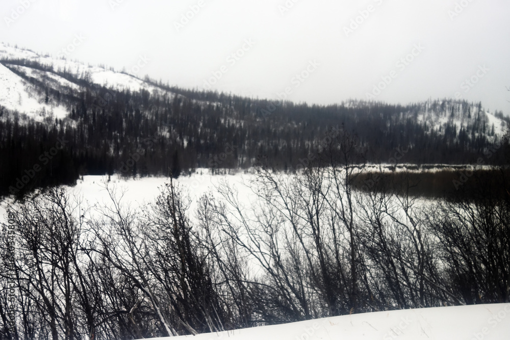 Fototapeta premium Siberia. The floodplain forest in the river valley is more dense. Snow-covered bald mountains. A frozen river under the snow. Cloudy weather. Yamalo-Nenets Autonomous Okrug