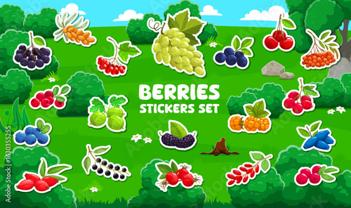 Cartoon berry stickers pack. Farm fresh berry, forest sweet fruit cartoon vector stickers or tags. Buckthorn, chokeberry, lingonberry and viburnum, gooseberry, bilberry branch labels or patches set