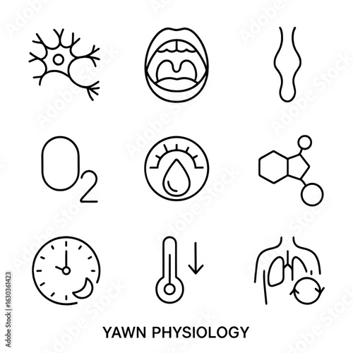 Yawn Physiology Icons. Outline icon set of yawn physiology: brain neuron outline, open mouth cross-section, throat muscle