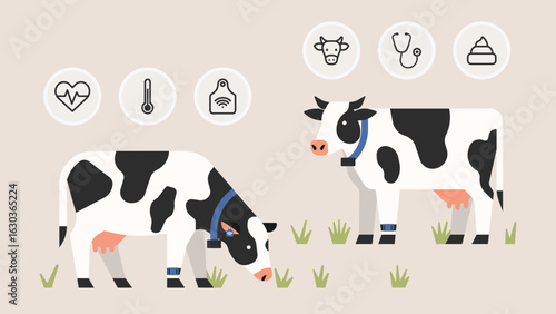 Cow health monitoring system on smart dairy farm using wearables sensors for tracking temperature, heart rate, ear tag, and productivity. Modern livestock technology. Flat vector illustration 