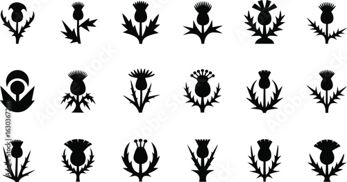 Scottish Thistle Icon Set, Silhouettes Vector Collection
