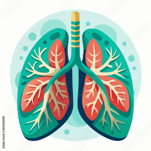 Stylized Human Lungs: Teal and Red Respiratory System Illustration, Medical Graphic, Healthcare Concept