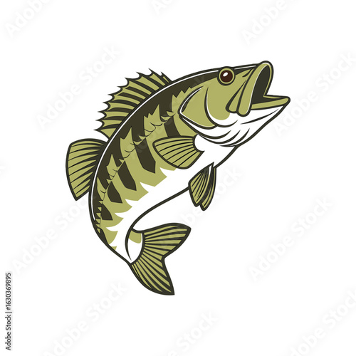 smallmouth bass micropterus dolomieu is showcased vector art