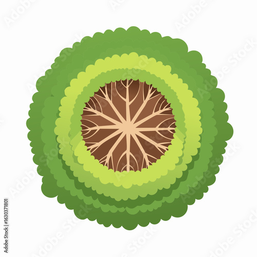 Reduced tree crown from above as a vector shape