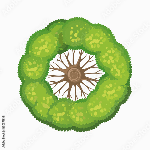 Reduced tree crown from above as a vector shape