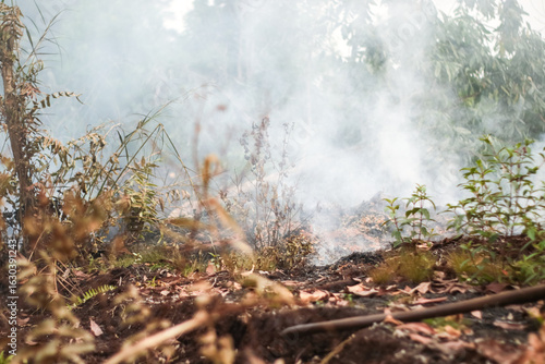 Peatland fires in Kalimantan occur almost every dry season, spreading haze across regions and severely disrupting public activities, air quality, and even flights in affected areas.