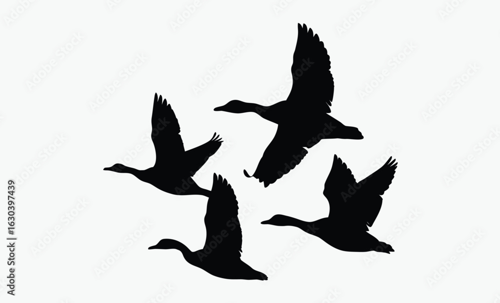 Fototapeta premium Flying duck silhouette, Flock of flying duck silhouette vector, duck bird icon vector art illustration