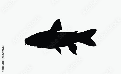 Algae eater silhouette, aquarium fish, elegant tail, Siamese Algae Eater Silhouette Vector Art Illustration 