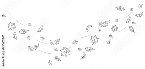 Hand Drawn Autumn Leaves Blowing in Wind. Outline Falling Leaves Border. Decorative Nature Background for Seasonal Designs, Greeting Cards, Invitations, Coloring Pages, and Posters.