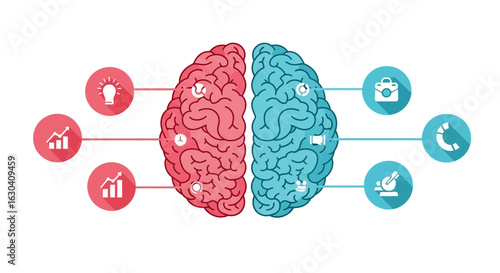 Brain Hemispheres Representing Logic And Creative Thinking Process