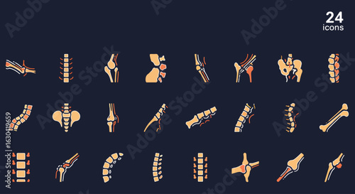 Explore 24 Stunning Bone and Joint Icons for Medical Design and Educational Use in Anatomy, Orthopedics, and Chiropractic Presentations, and Websites