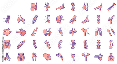 Comprehensive collection of human bones and joints for medical education, anatomy studies, and healthcare marketing with vibrant, modern designs