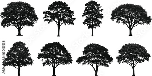 Realistic tree silhouette set, black front view trees for forest vector illustration, landscape design, park decoration, and nature graphics