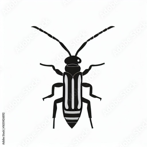 African Sugarcane Borer Illustration