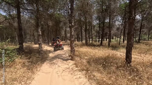 A couple riding an all-terrain vehicle (ATV) along a sandy road surrounded by trees in Tunisia. Adventure, travel, and nature exploration in North Africa.