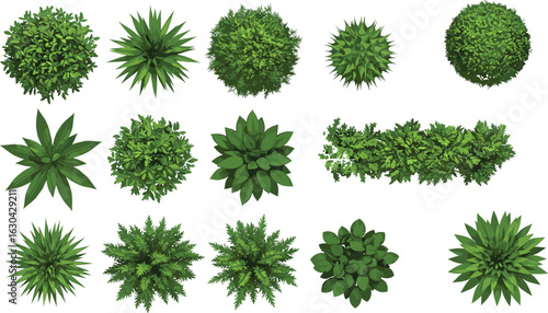 Top view garden bushes, realistic shrubs and plants set, landscape foliage collection, green leaves texture, isolated nature elements