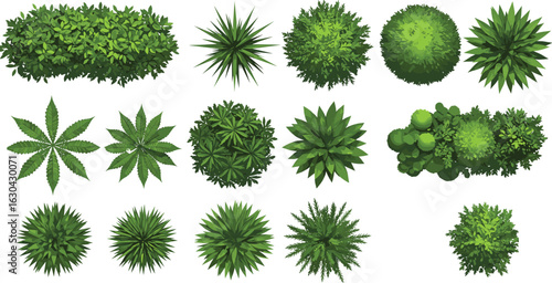 Top view green bush collection, assorted garden shrubs, landscape plants, isolated foliage set, botanical elements for design, vector illustration for landscaping, gardening