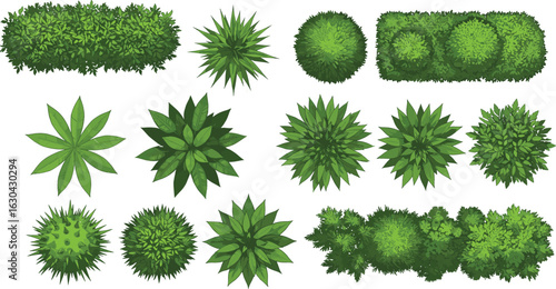 Top view green bush collection, shrub and foliage elements for garden landscaping design, isolated nature plant vector set, illustration