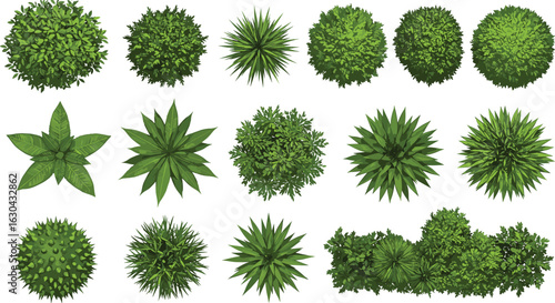 Top view green bushes and plants, garden foliage vector, isolated greenery elements, landscape design icons, nature shrubs illustration