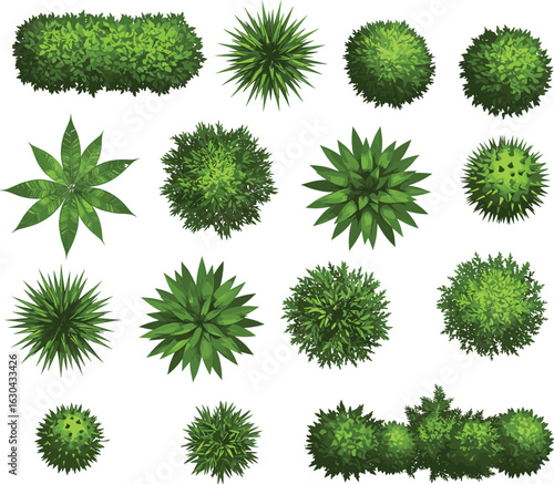 Top view green bushes and shrubs, landscaping foliage set, realistic plant textures, garden leaves, decorative nature vector elements