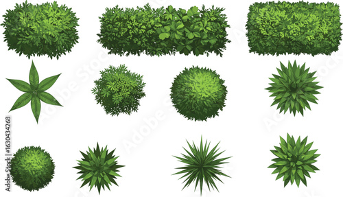 Top view green bushes and spiky foliage collection, garden shrubs, landscape plants, isolated nature elements, botanical vector illustration