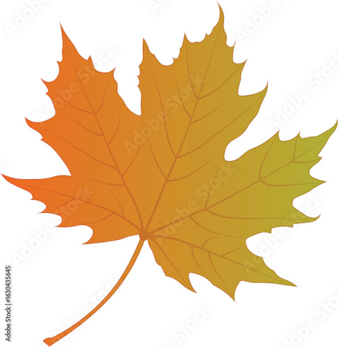 Wallpaper Mural Fall Autumn Leaves Icon Creative Layout, set of maple leaves vector, Clip Art Fall leaf Illustration Torontodigital.ca