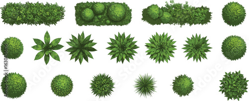 Top view green bushes, shrubs, and garden plants collection, isolated foliage elements for landscaping, garden design, urban planning, architectural rendering