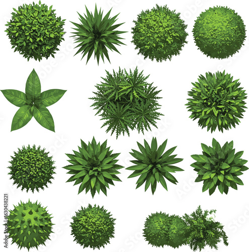 Top view green shrubs, decorative garden plants, realistic bush collection, landscaping elements, foliage set, isolated top-down plant graphics