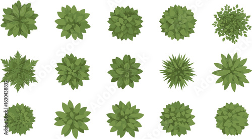 Top view of decorative green plants, vector garden shrubs collection, flat foliage design, landscaping elements for outdoor space projects