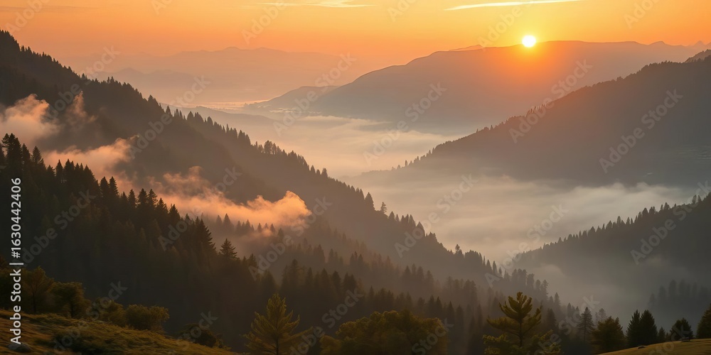 Obraz premium Golden sunrise paints Slovakian valley, mist clinging to mountain slopes, photography, tranquil