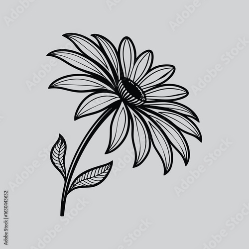 Anemone Feminine Flower Line Illustration