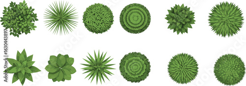 Top view of various green shrubs, garden plants, decorative bushes, foliage textures, outdoor landscaping elements, natural leafy plants