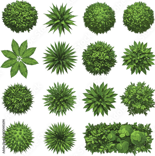Top-down view, green bushes, leafy plants, garden foliage, natural shrubs, botanical elements, outdoor vegetation, detailed leaves, landscape design, nature background