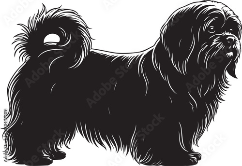 Tableau sur toile Lhasa Apso Vector Silhouette