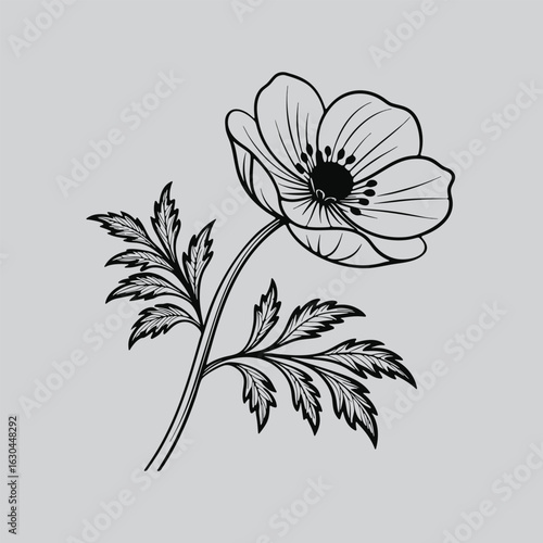 Anemone Wildflower Trio Ink Illustration