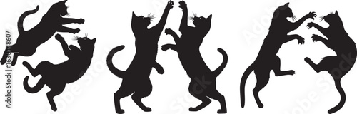 Elegant silhouette of a cat in profile