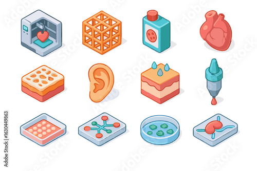 Cell vector bone set scaffold bioprinter custom icon organ bioprinting reservoir